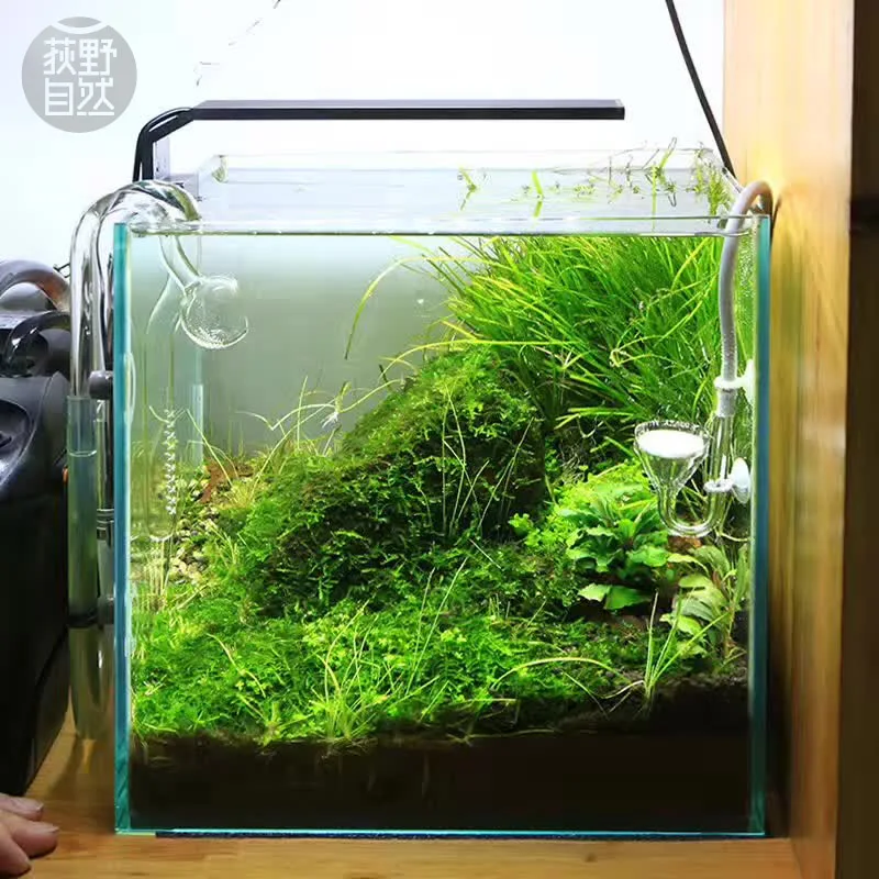Aquarium Fish Background - Spirituosen C-Serie ADA-Stil Pflanze wachsen LED-Licht