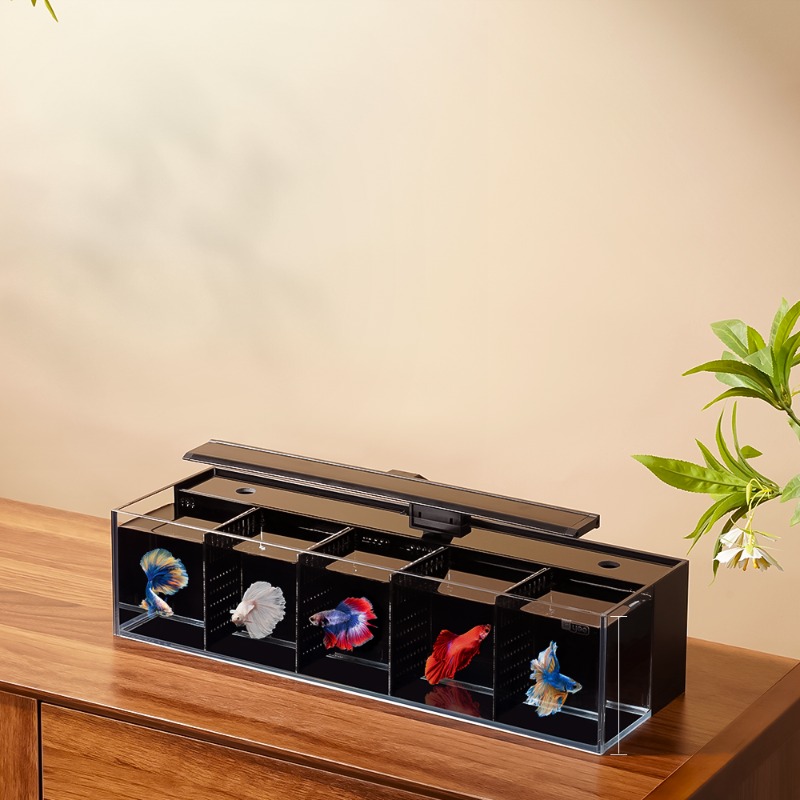 Aquarium Fish Beautiful - Douyu Aquarium Multi-Grid-Kombination kleines Glas-Aquarium mit