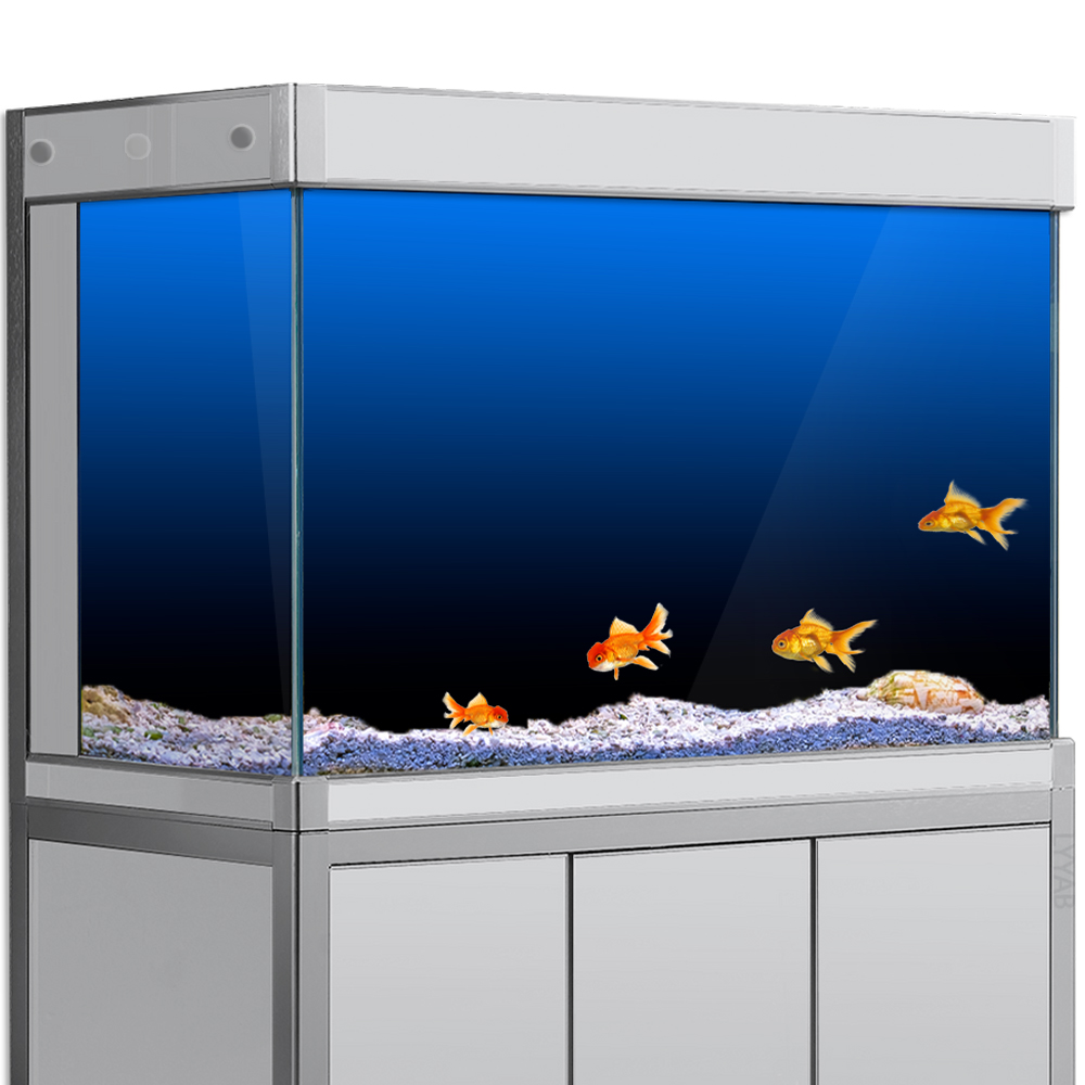 Aquarium Fish Background - Aquarium Hintergrund Aufkleber Schwarz Grün Blau