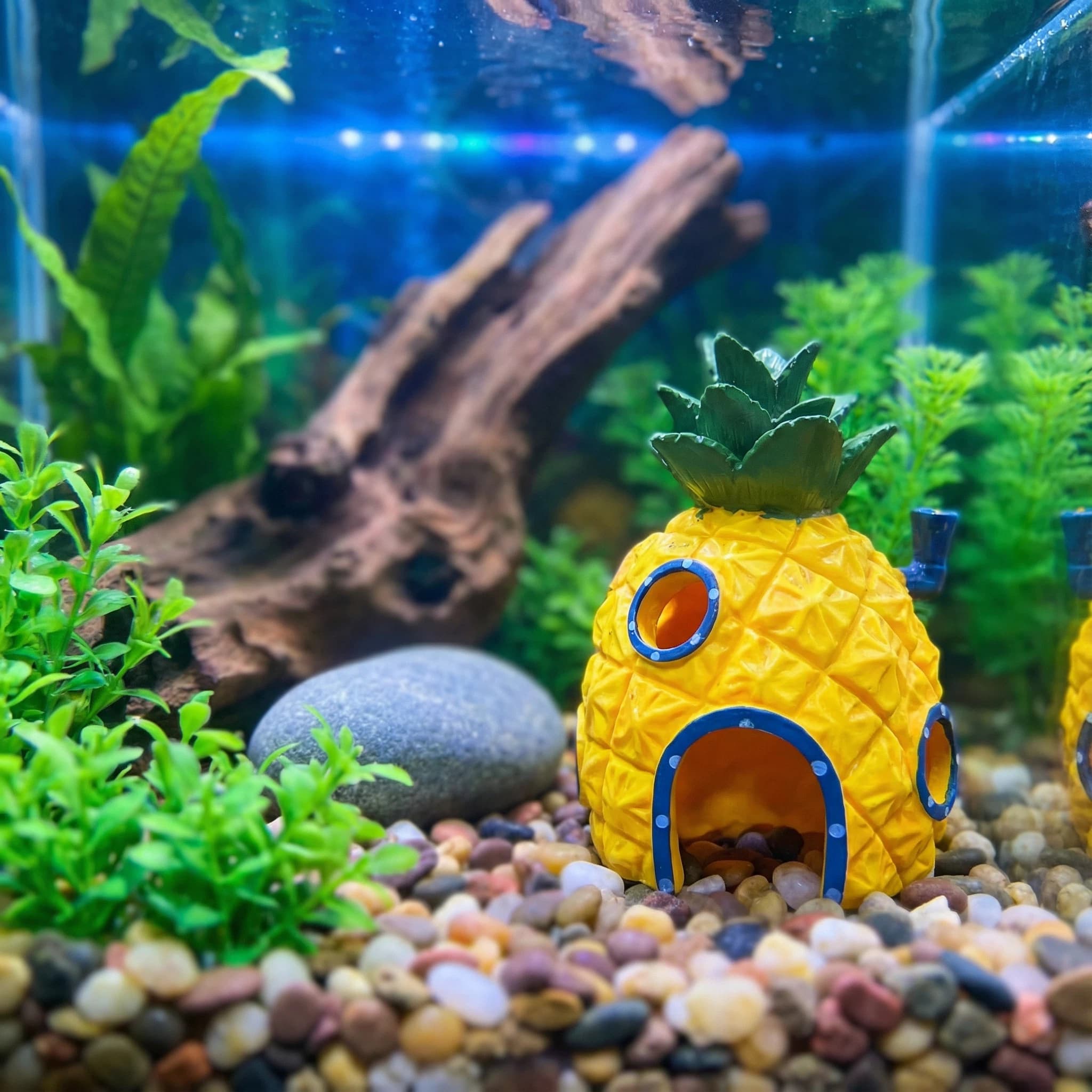 Aquarium Fish Hideout - Ananas-Haus-Aquarium-Dekoration, umweltfreundliche Versteckhöhle aus Kunstharz für