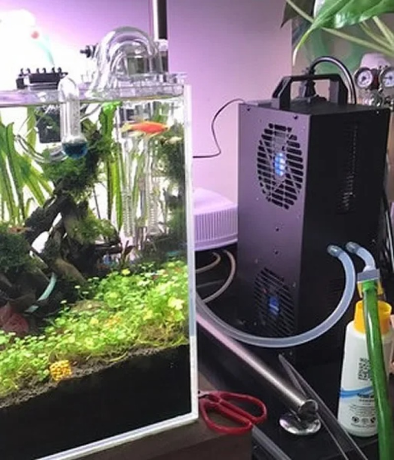 Einstellbarer Halbleiter-Kühls – Aquarium Fish Small Bewertung und Preis