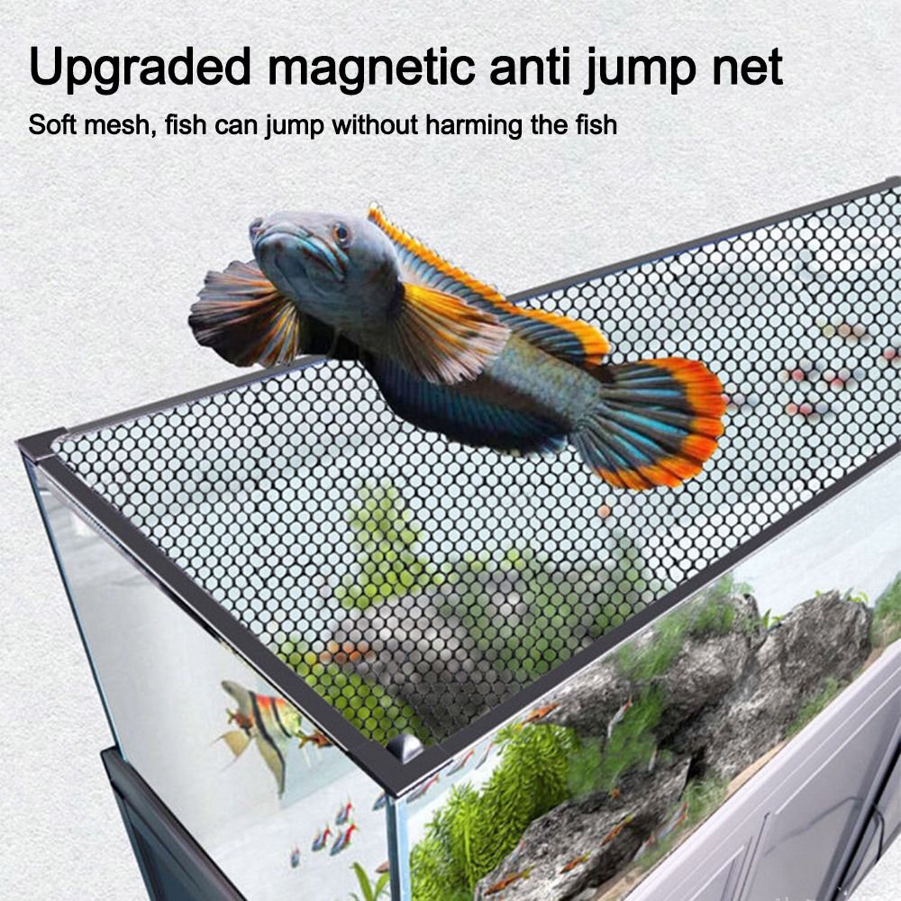 Robuster Magnetischer Aquarium – Aquarium Fish Net Bewertung und Preis
