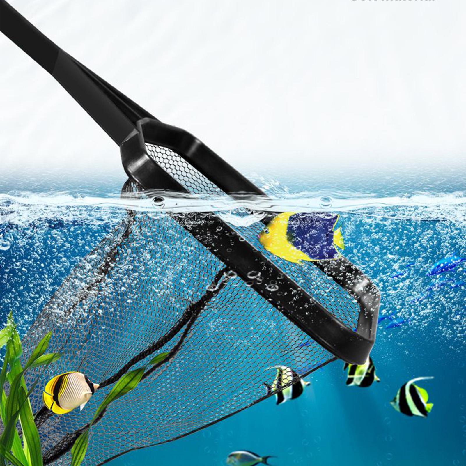 Poolnetz Aquarium Bergungsnetz – Aquarium Fish Net Bewertung und Preis