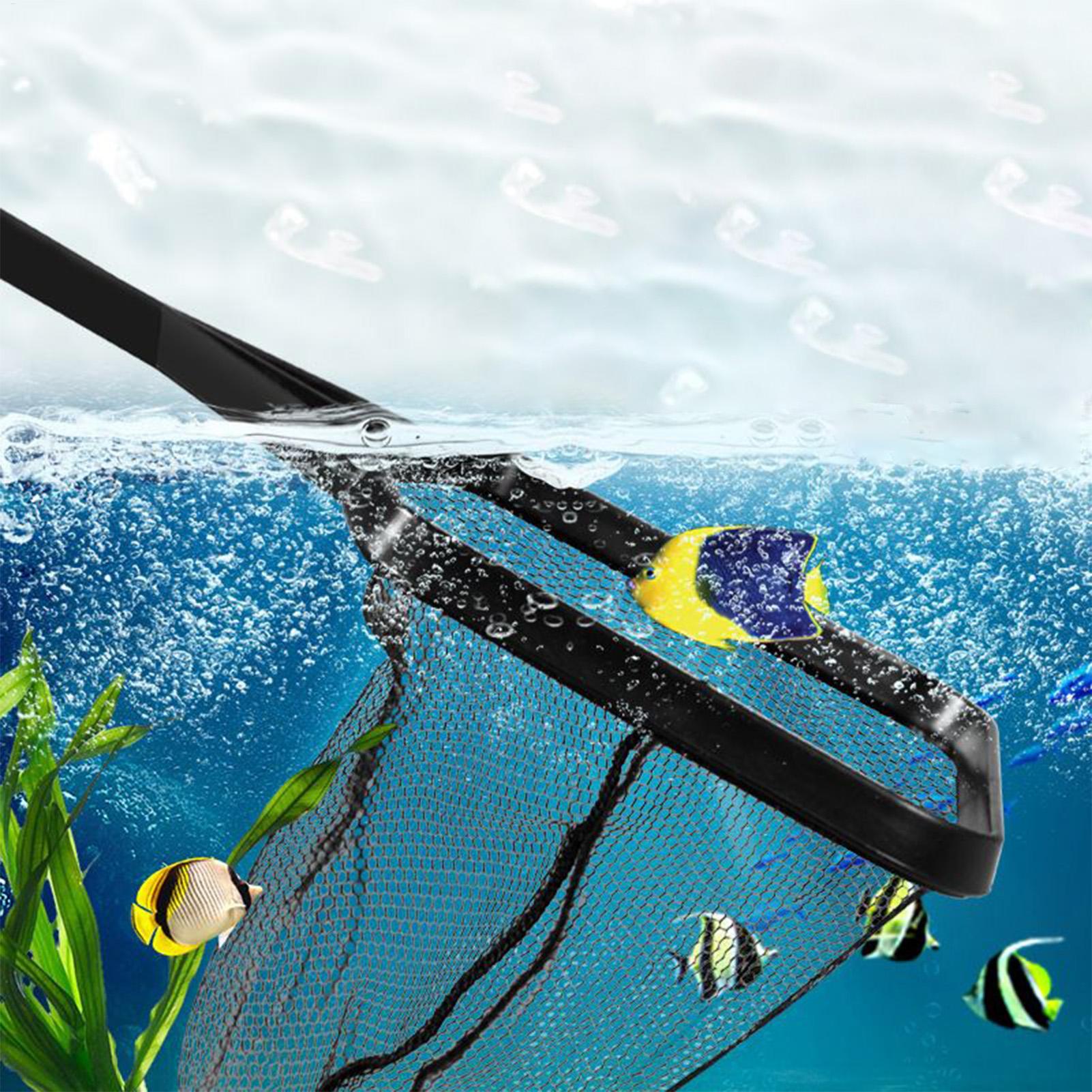 Poolnetz Aquarium Bergungsnetz – Aquarium Fish Net Bewertung und Preis