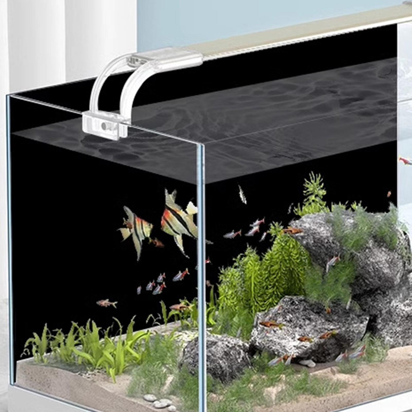 Schwarzer Aquarium-Hintergrund – Aquarium Fish Background Bewertung und Preis
