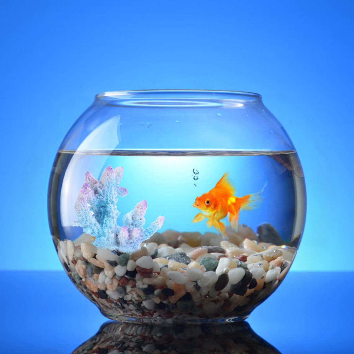 Kreatives Harz-Aquarium Korall – Aquarium Xl Bewertung und Preis