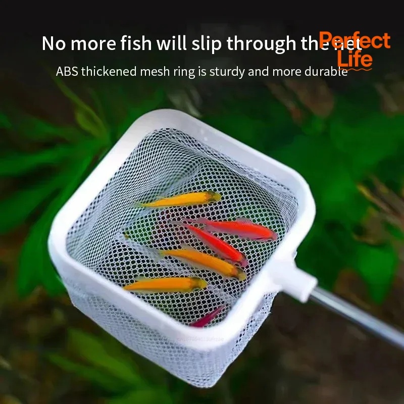 1, 2 Stück Edelstahl-Fischkesc – Aquarium Fish Net Bewertung und Preis
