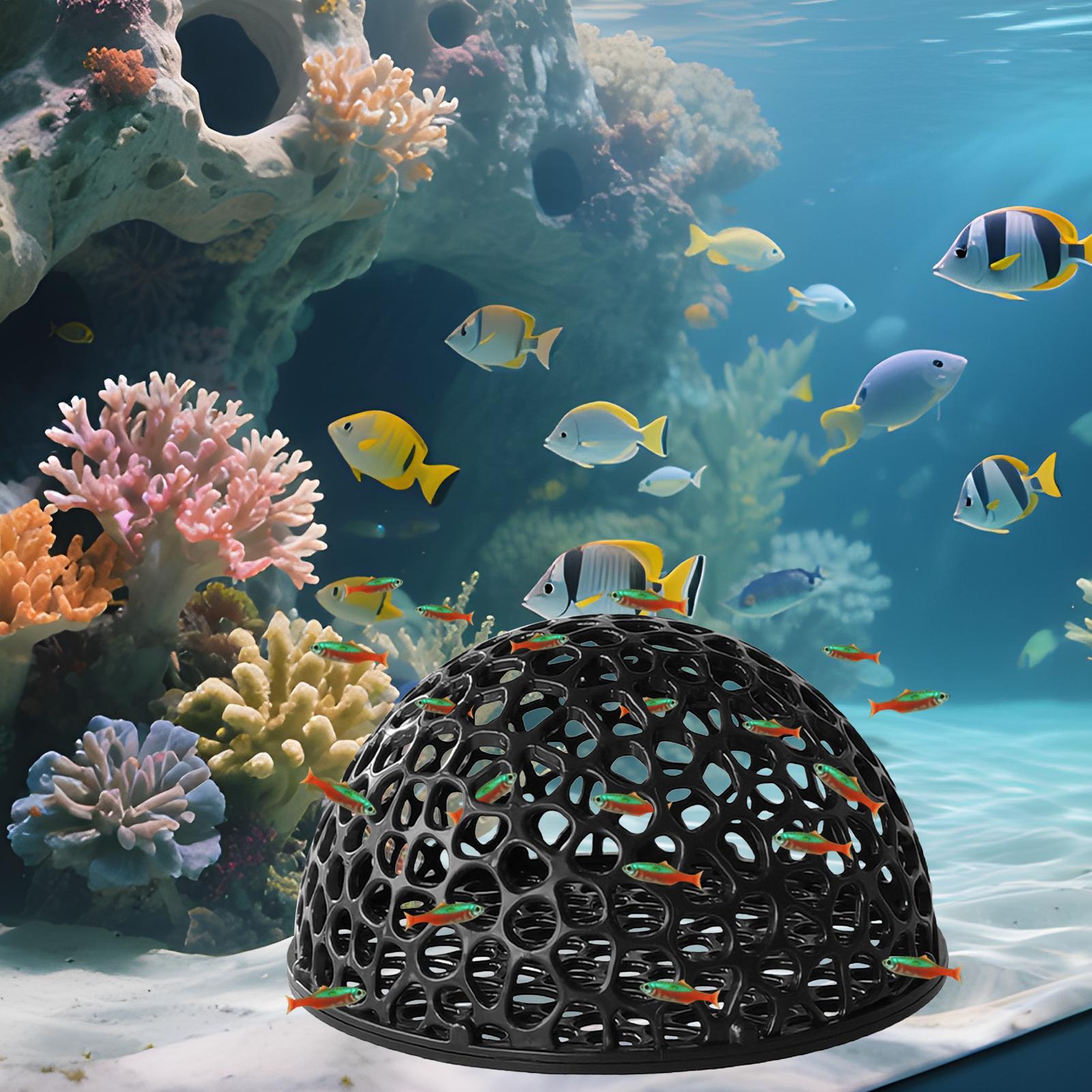 Aquarium-Hiden-Höhlenunterstan – Aquarium Fish Hideout Bewertung und Preis