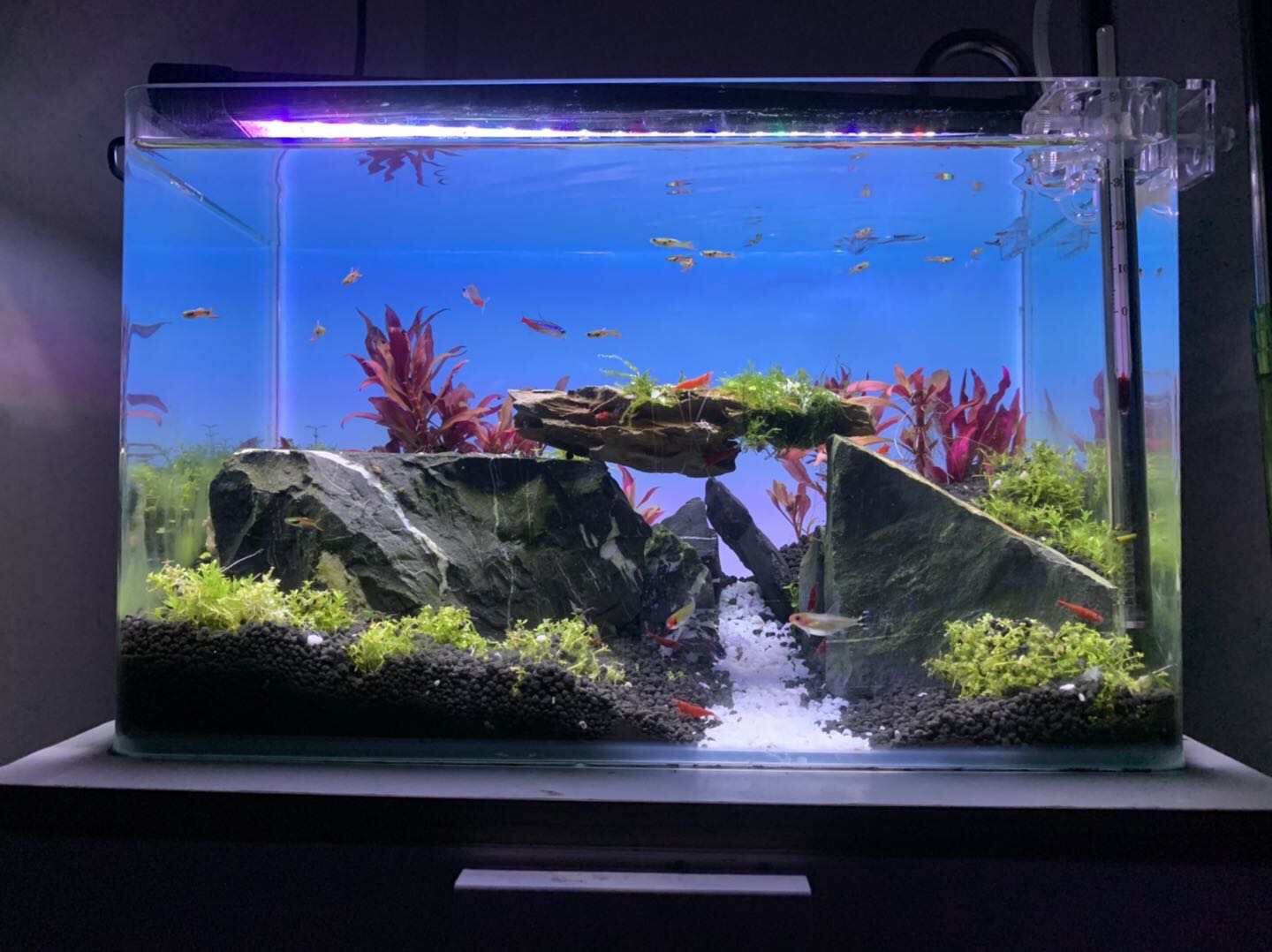 RGB Farbwechselnde Aquariumbel – Aquarium Fish Background Bewertung und Preis