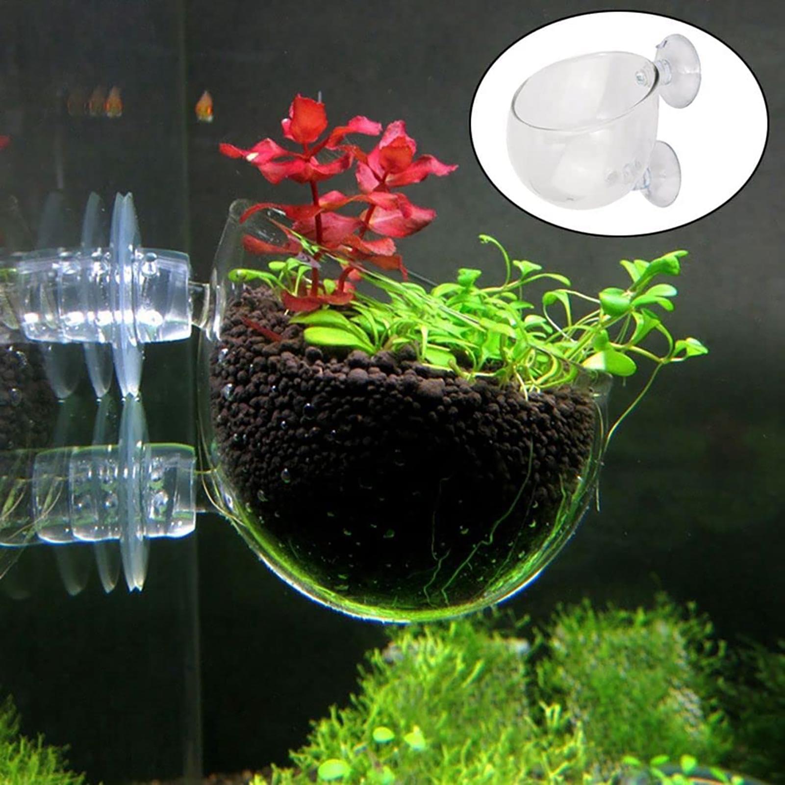 Aquatische Pflanzentöpfe mit S – Aquarium Fish Beautiful Bewertung und Preis