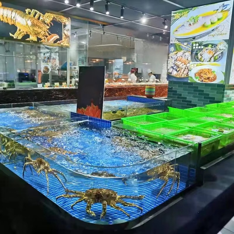Quadratisches Glas-Süßwasser-A – Aquarium Xl Bewertung und Preis
