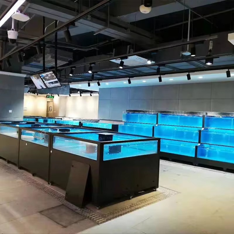 Quadratisches Glas-Süßwasser-A – Aquarium Xl Bewertung und Preis