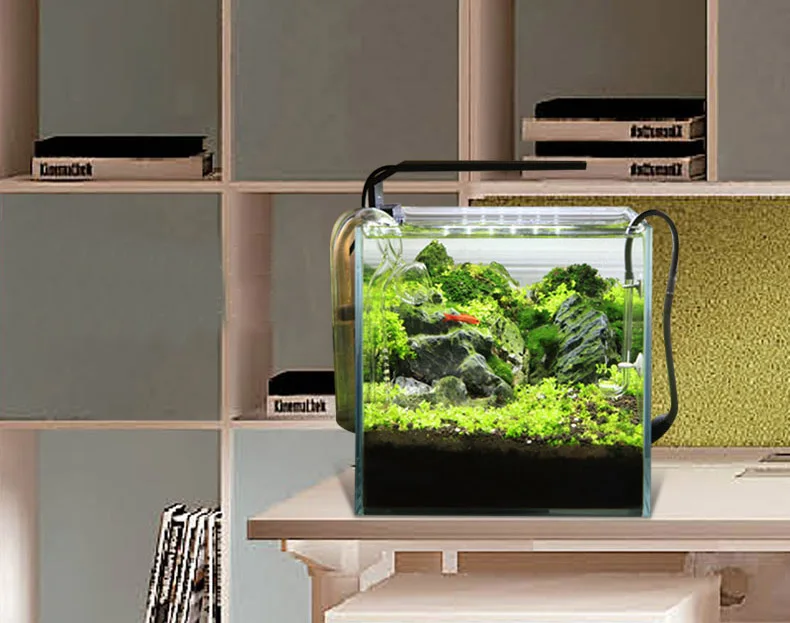 Spirituosen C-Serie ADA-Stil P – Aquarium Fish Background Bewertung und Preis