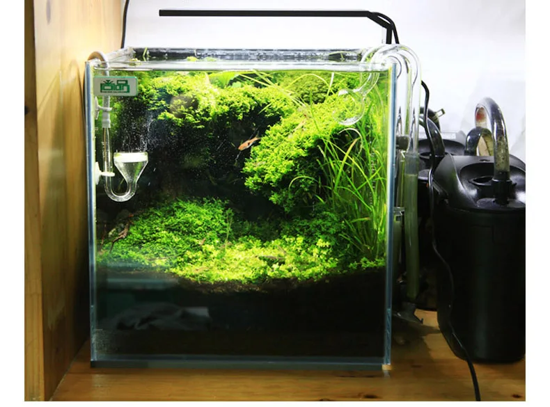 Spirituosen C-Serie ADA-Stil P – Aquarium Fish Background Bewertung und Preis