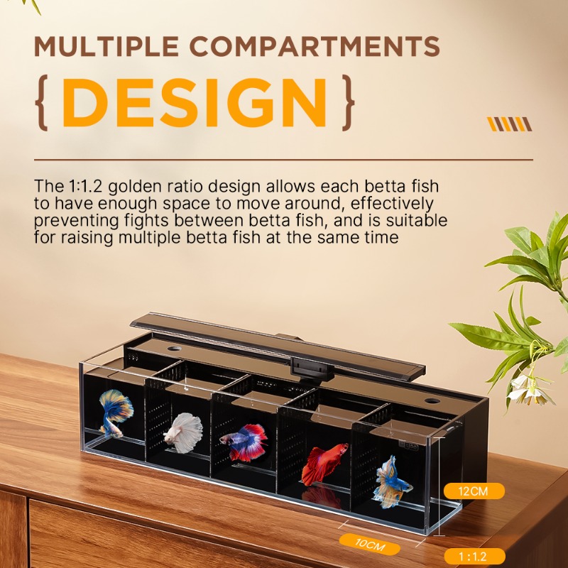 Douyu Aquarium Multi-Grid-Komb – Aquarium Fish Beautiful Bewertung und Preis