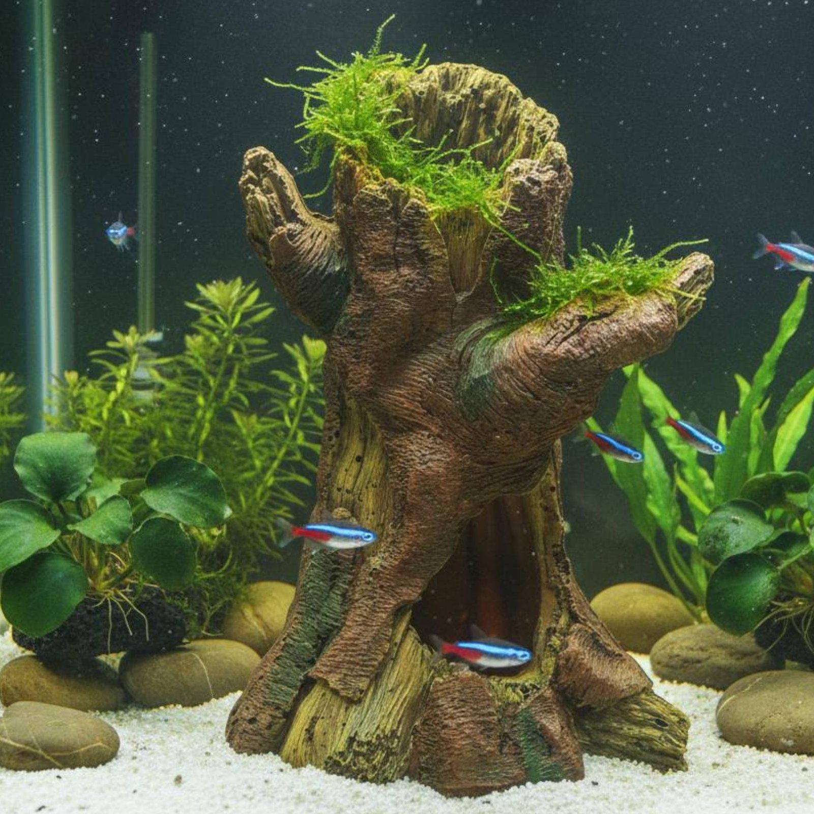 Aquarium-Dekoration: Harz-Baum – Aquarium Fish In Bewertung und Preis