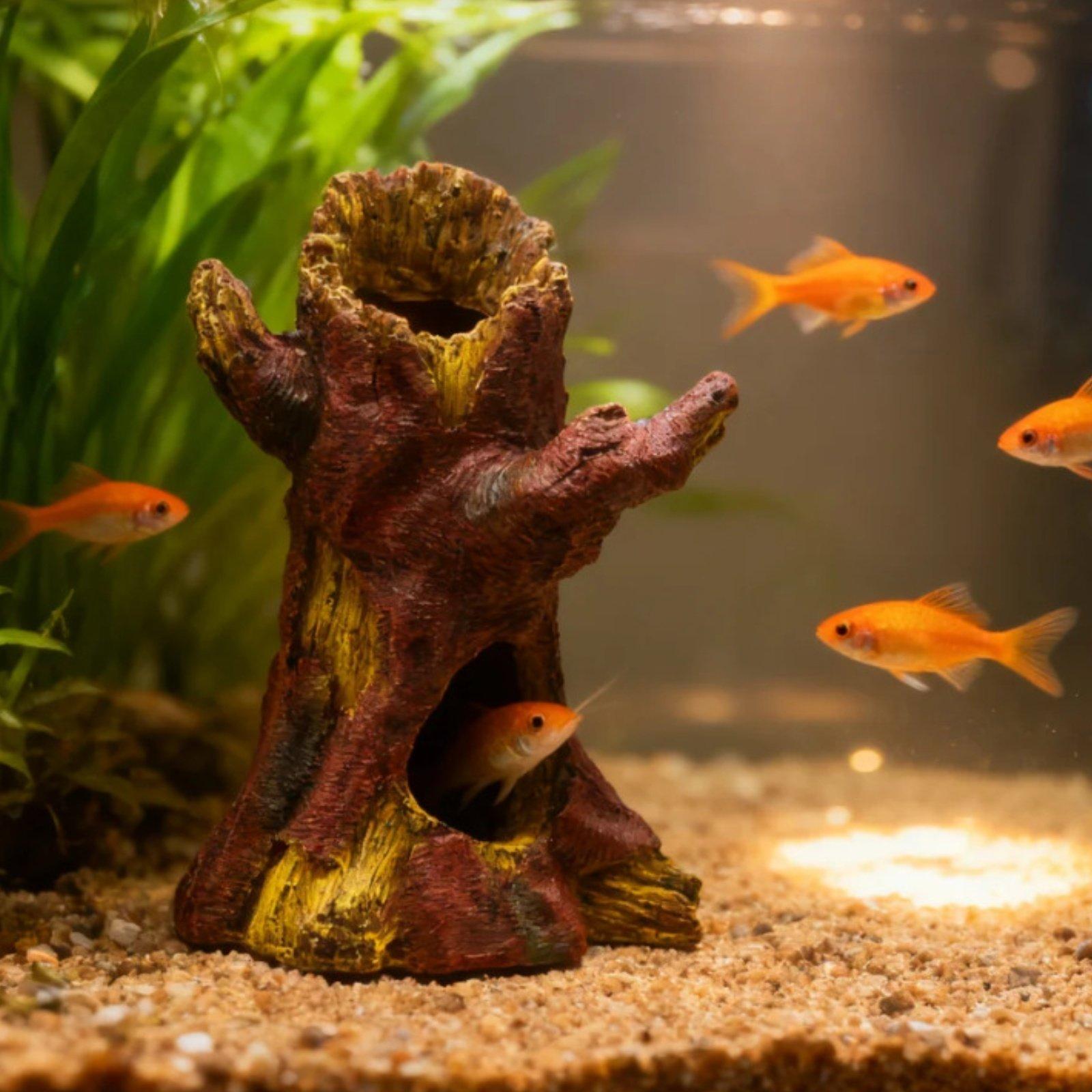 Aquarium-Dekoration: Harz-Baum – Aquarium Fish In Bewertung und Preis
