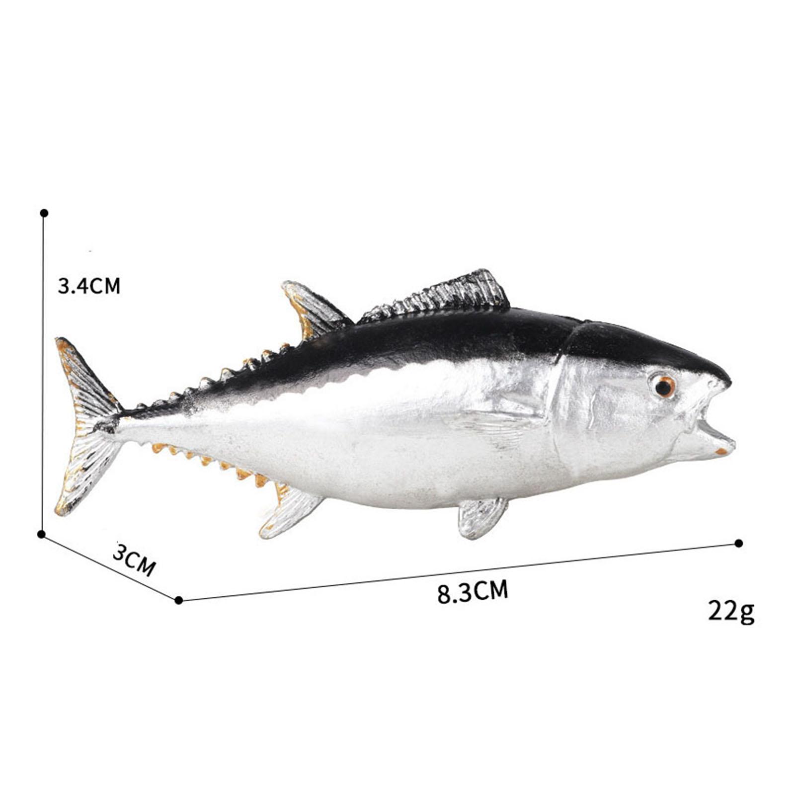 Aquarium-Dekorationen, kogniti – Aquarium Fish Small Bewertung und Preis