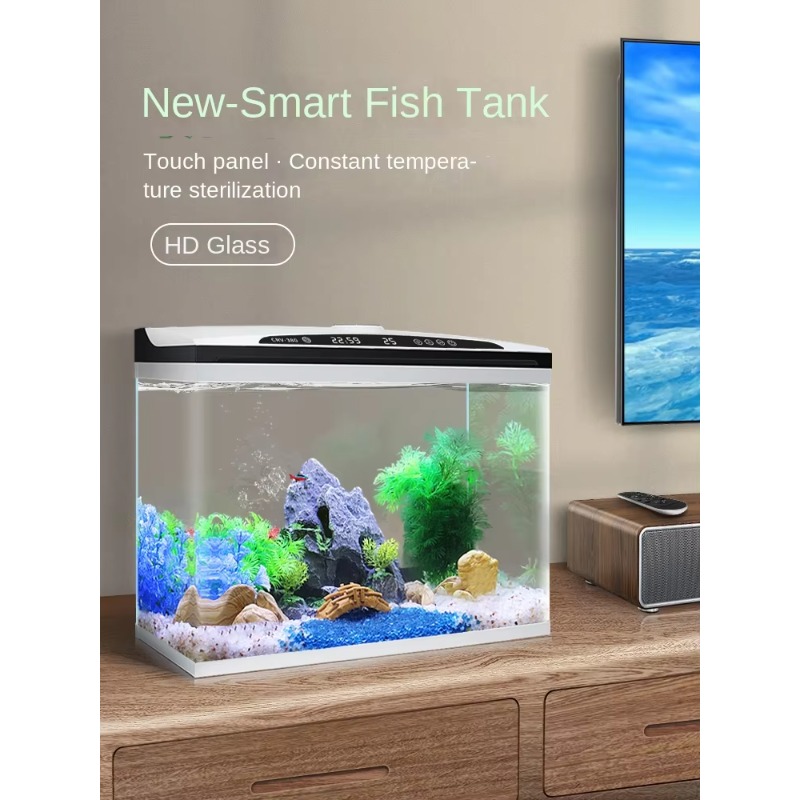 Maßgefertigtes Großes Glas-Aqu – Aquarium Xl Bewertung und Preis