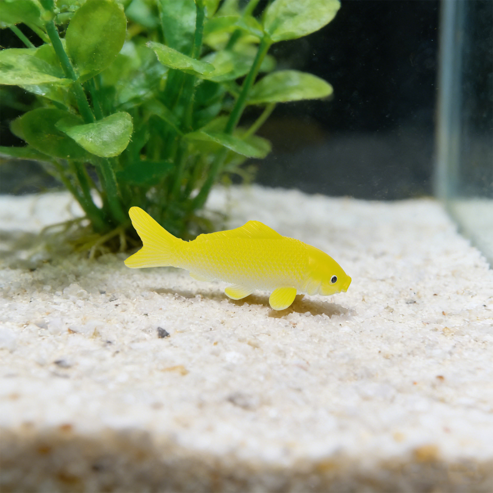 3-teiliges Fisch-Kunsthandwerk – Fish Toys For Aquarium Bewertung und Preis