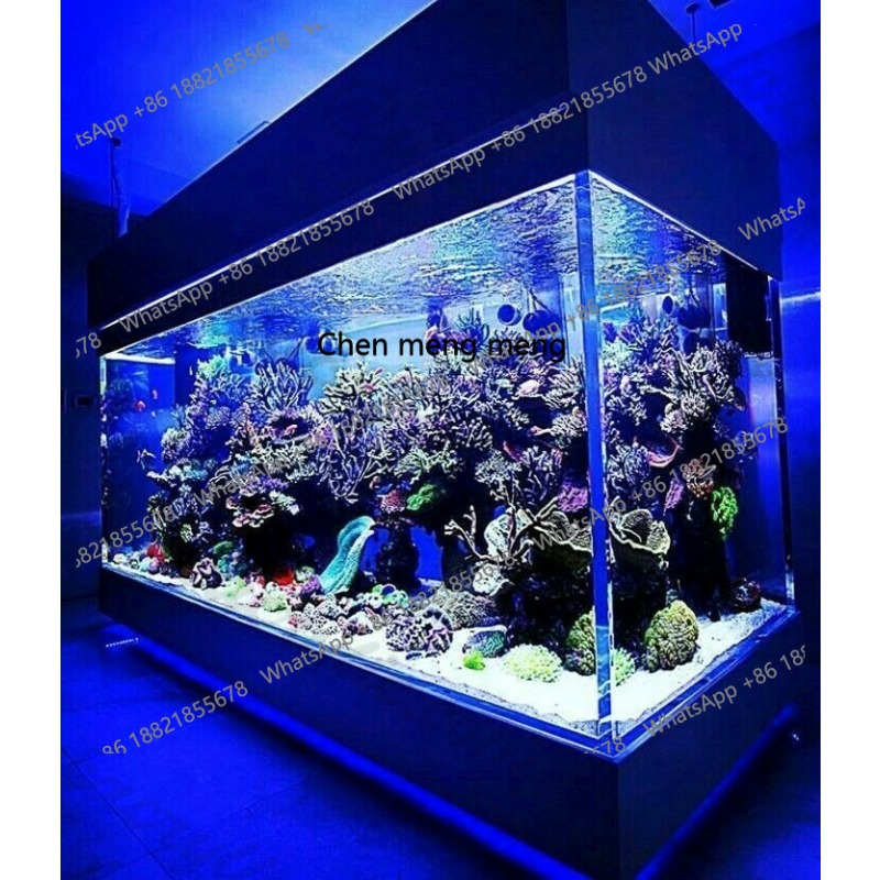 Großes Ultraklares Glas-Acryl- – Aquarium Xl Bewertung und Preis