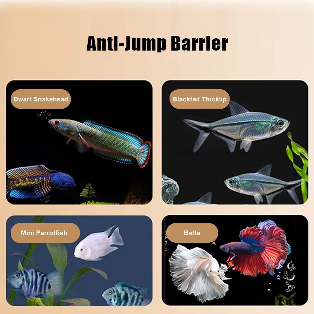 Langlebige magnetische Aquariu – Aquarium Fish Net Bewertung und Preis