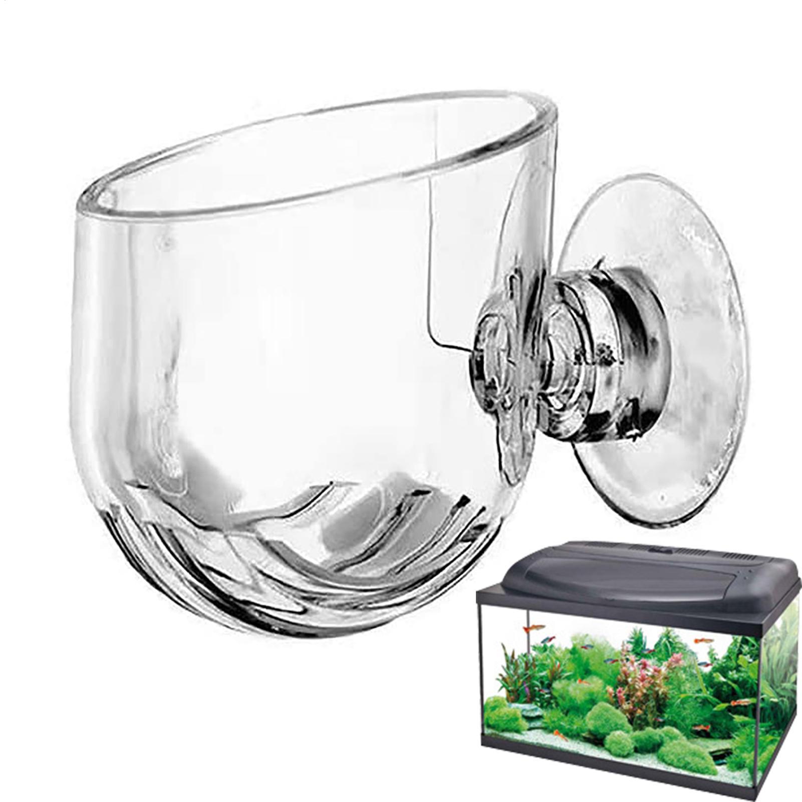 Saugnapf-Aquarienpflanzenhalte – Aquarium Fish Beautiful Bewertung und Preis
