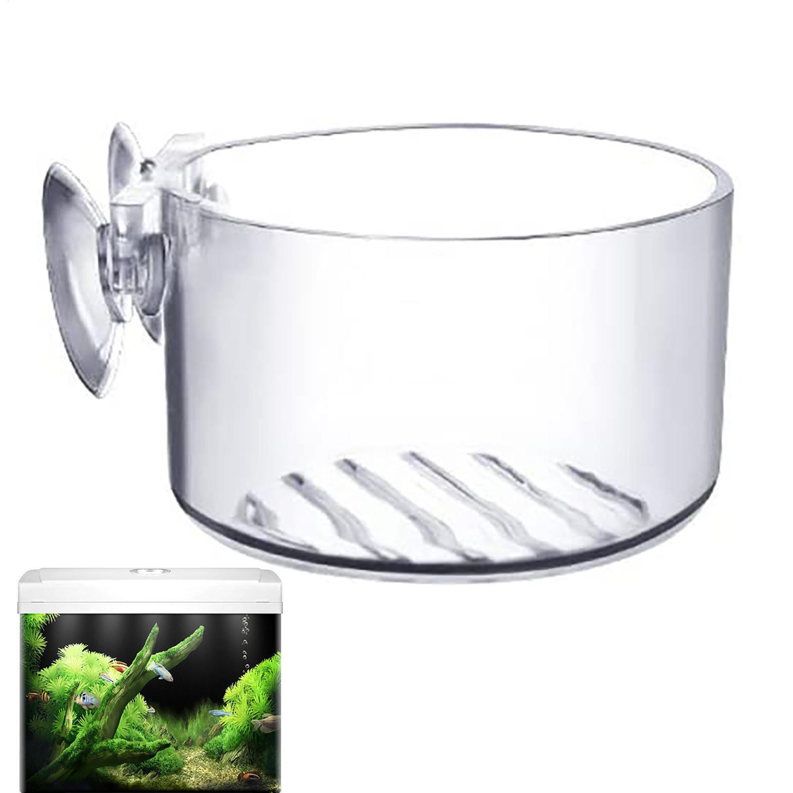 Saugnapf-Aquarienpflanzenhalte – Aquarium Fish Beautiful Bewertung und Preis