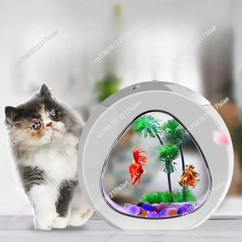 Kleines Desktop-Acryl-Aquarium – Aquarium Fish Small Bewertung und Preis