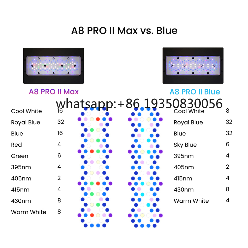 2026-A8 PRO II Max und Blue 24 – Aquarium Fish In Bewertung und Preis