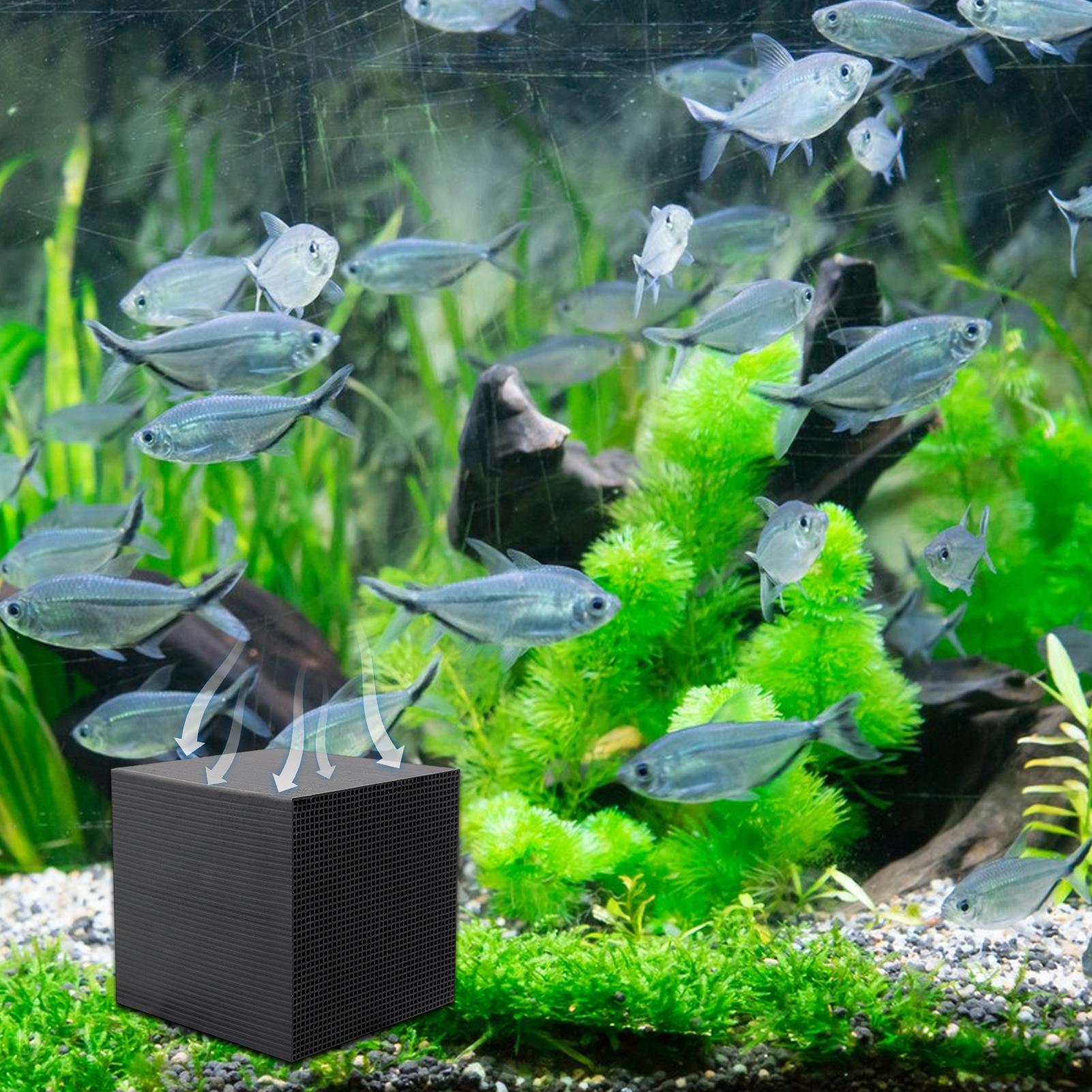Aquarium Wasserreiniger Würfel – Aquarium Fish Background Bewertung und Preis