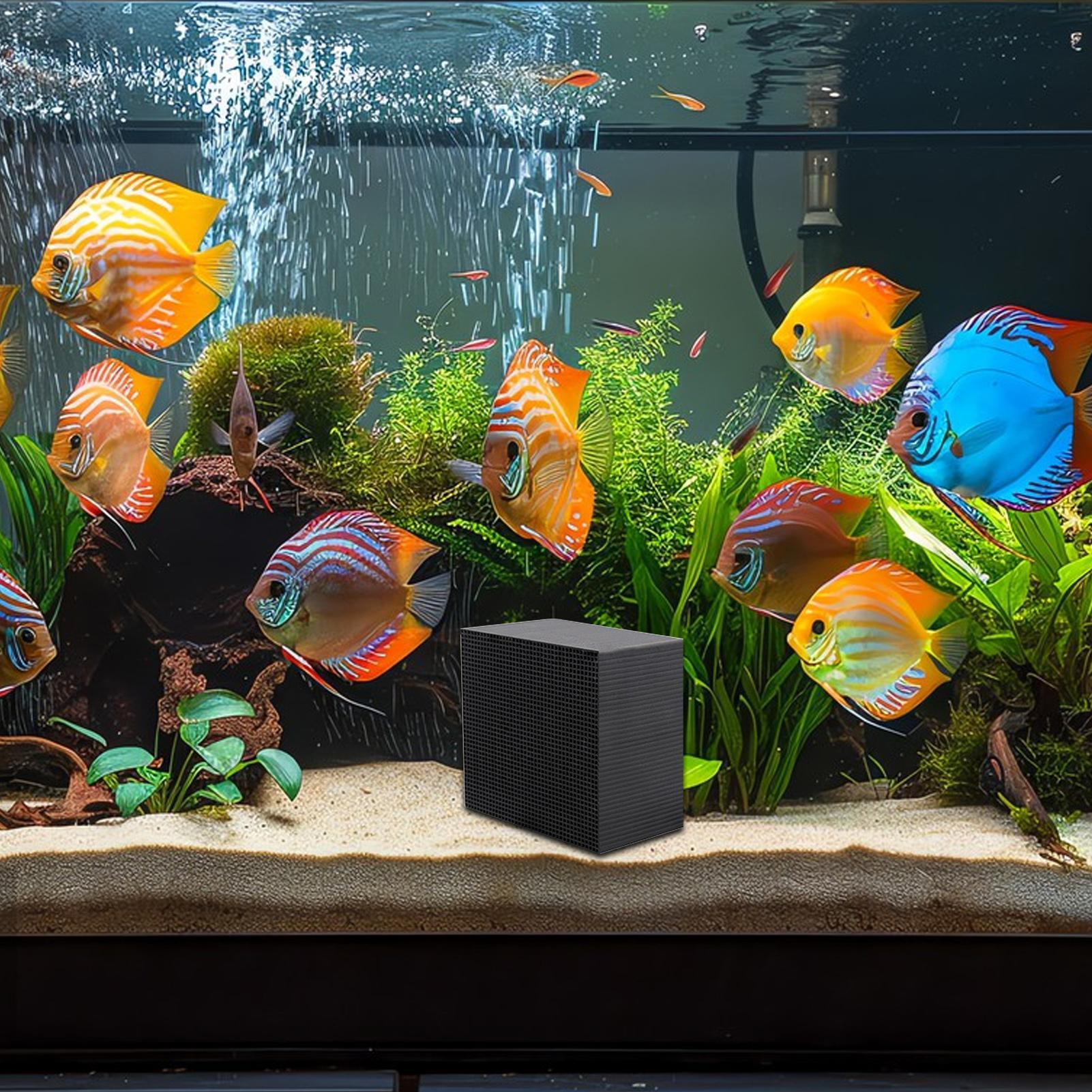 Aquarium Wasserreiniger Würfel – Aquarium Fish Background Bewertung und Preis