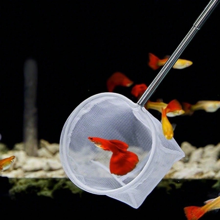 Aquarium-Fischkescher - Ein Ei – Aquarium Fish Net Bewertung und Preis