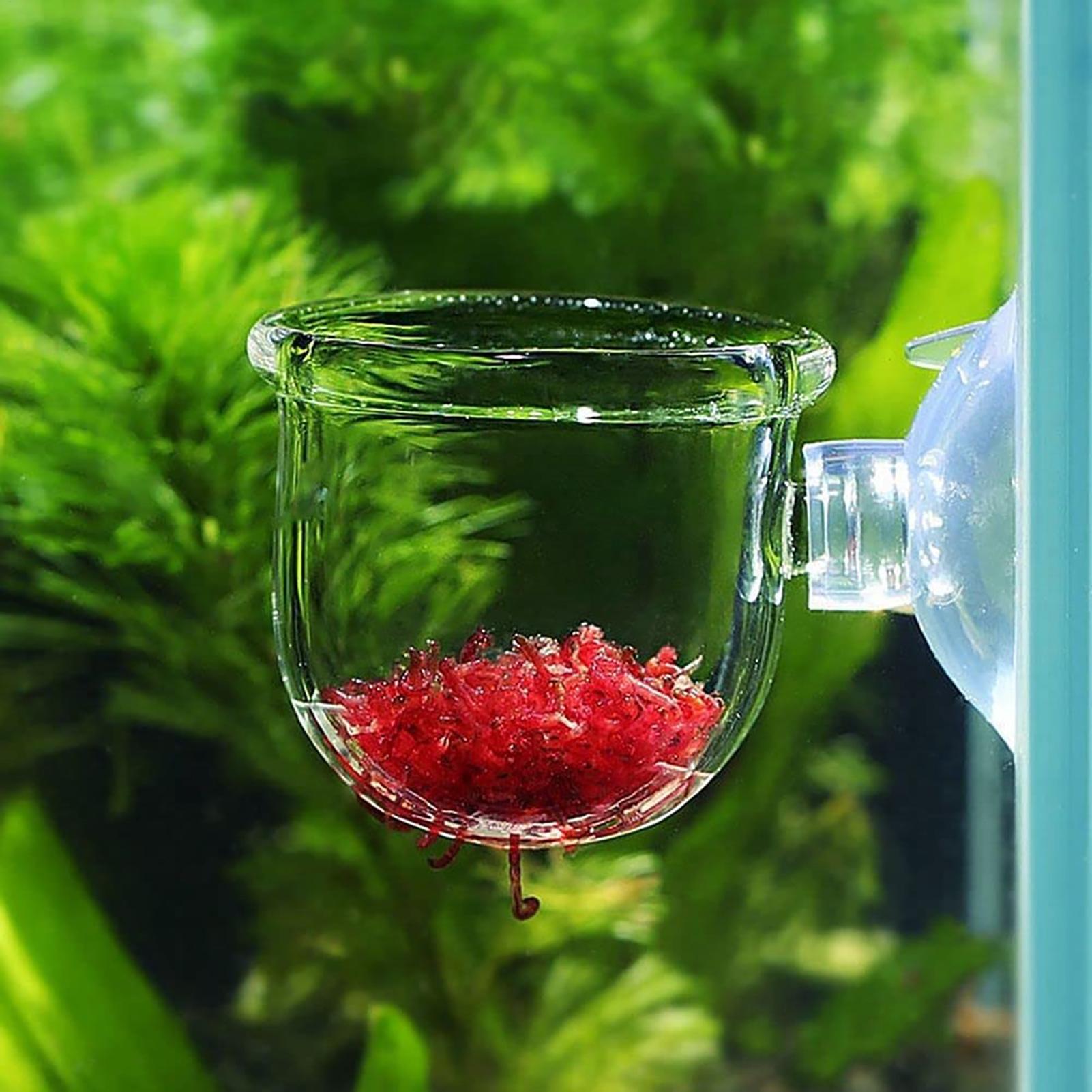 Pflanzenhalter für Aquarien, t – Aquarium Fish Beautiful Bewertung und Preis