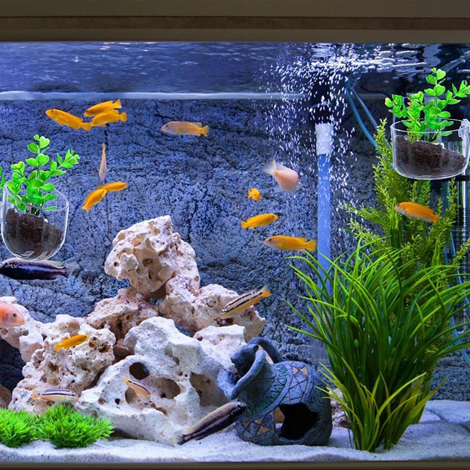 Pflanzenhalter für Aquarien, t – Aquarium Fish Beautiful Bewertung und Preis