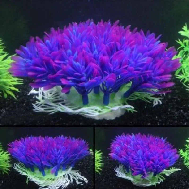 Künstliche breite kurze Aquari – Aquarium Fish Beautiful Bewertung und Preis