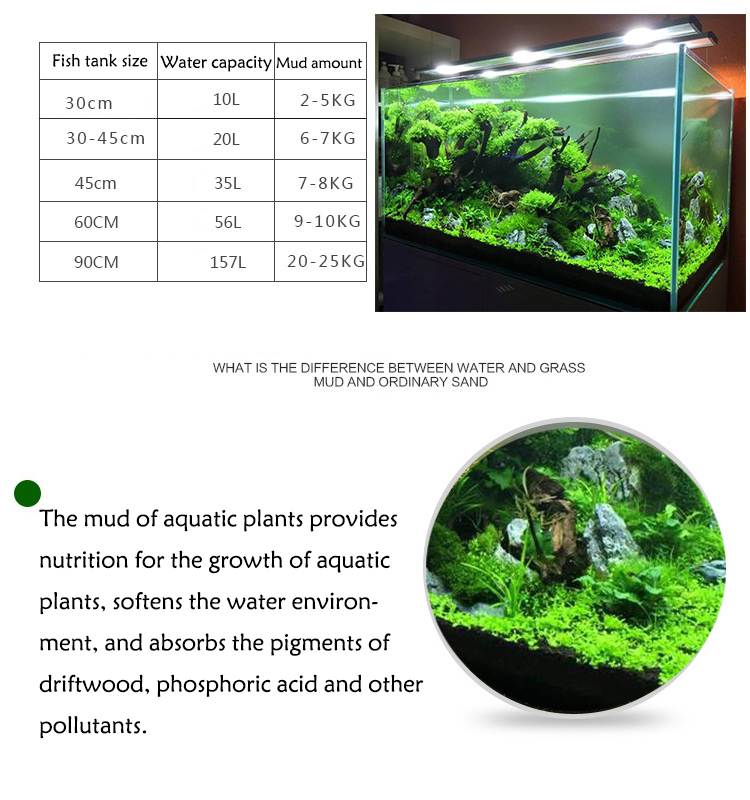 Aquarium Pflanzen Samen Boden  – Aquarium Fish Background Bewertung und Preis