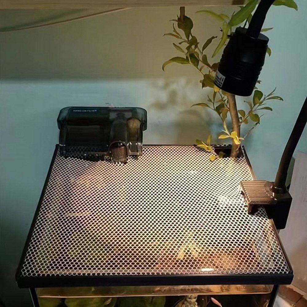 Langlebige Magnetische Aquariu – Aquarium Fish Net Bewertung und Preis