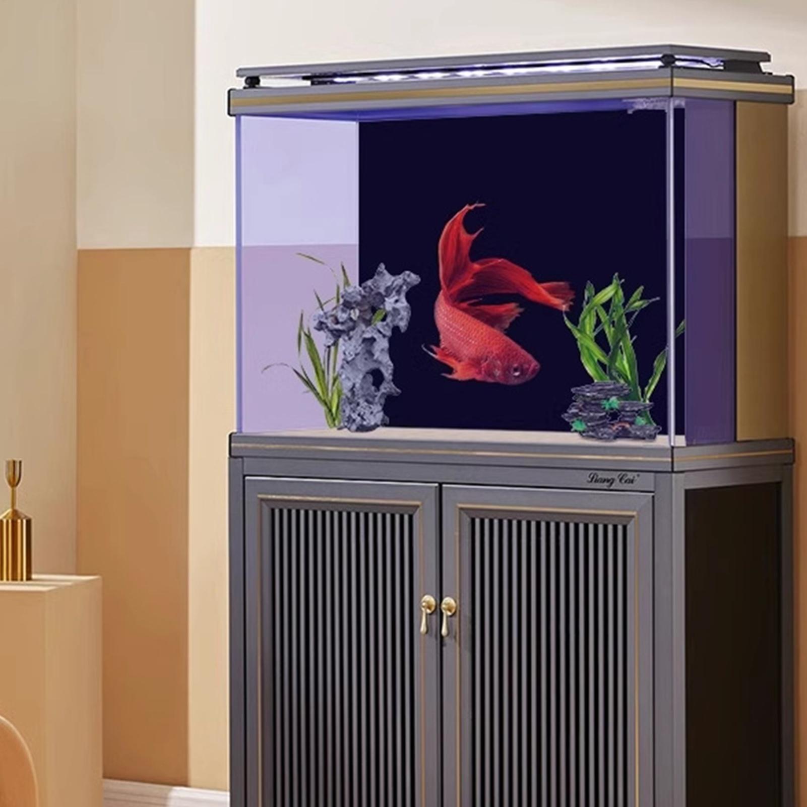 Aquarium-Hintergrund Statisch  – Aquarium Fish Beautiful Bewertung und Preis