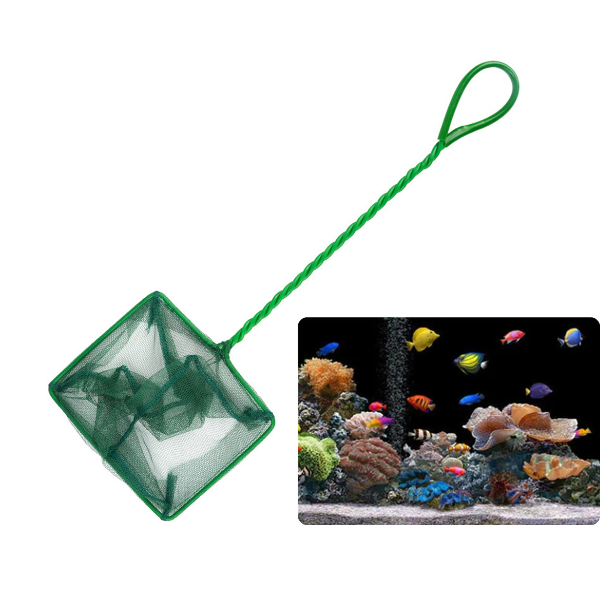 3 ~ 10 Zoll Tragbare Nylon Grü – Aquarium Fish Net Bewertung und Preis