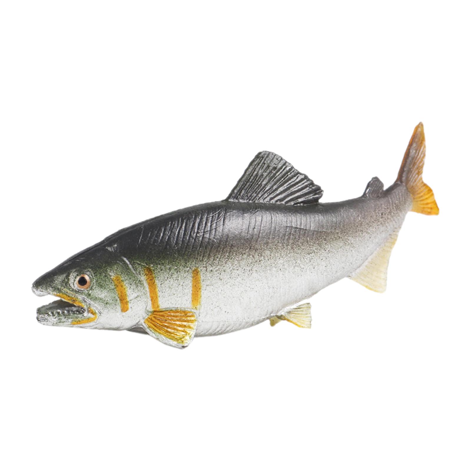 3x Fischspielzeug, Aquarium-De – Fish Toys For Aquarium Bewertung und Preis